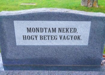 20 abszurd pillanat, amely láttán már nem tudjuk eldönteni, hogy nevessünk vagy sírjunk