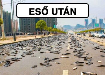 19 alkalom, mikor a valóságban több hiba volt, mint bármelyik videojátékban