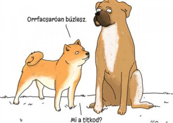 16 humoros ábra, amely segít, hogy egy kicsit jobban megértsük az állatok gondolkodását