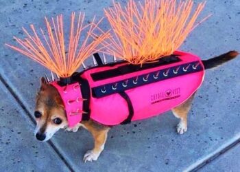 16 tervező, aki teljesen új szintre emelte a kényelem fogalmát