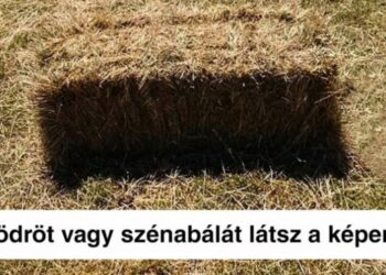 18 illúziókeltő momentum, aminél jobbat keresve sem találnánk