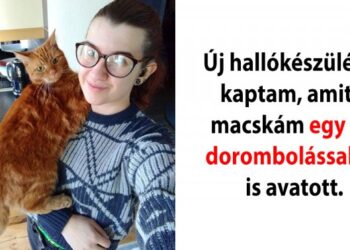 24 kép állatokról, akik még ebben a fagyos időben is képesek felmelegíteni szívünket