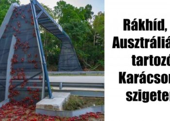 13 bámulatos mérnöki megoldás, amely állatok ezreit menti meg évről-évre