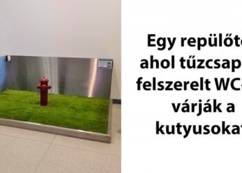 20 igazi zseni, aki soha nem látott szintre emelte a ,,kiszolgálás” fogalmát