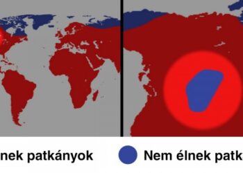 17 térkép, amely egészen új oldalról mutatja be a világ dolgait