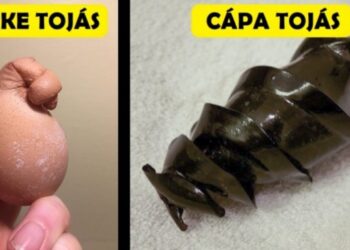 18 alkalom, mikor a természet annyira meglepett minket, hogy azt nem tudtuk kezelni