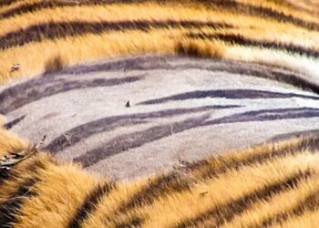 20 csodálatos felvétel, mely bebizonyítja, hogy a természet a legügyesebb művész a világon