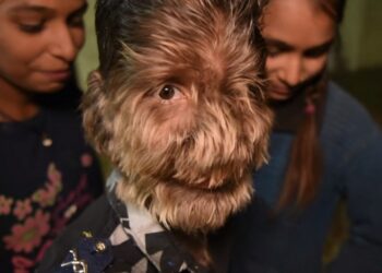 Egész testét szőr borítja a fiúnak, nem is gondolnád, hogy valódi