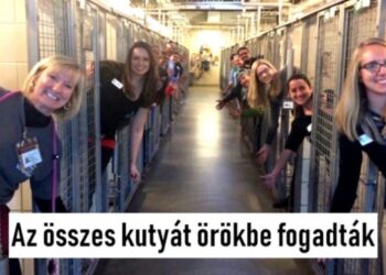 17 fénykép, amely minden érző ember szívét melegséggel tölti el!