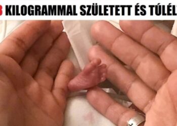 16 szívmelengető kép, amelytől mindannyian elmorzsolunk egy könnycseppet