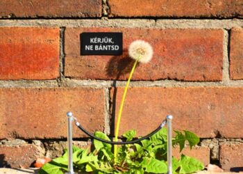 30 utcai művész, aki egészen új nézőpontba helyezte a vandalizmus kifejezést