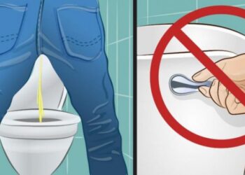 Furán Ezért ne húzd le a WC-t, miután elvégezted a dolgodat