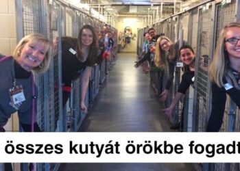 20 megható fénykép, melytől még egy fagyos nap is melegebbnek tűnik