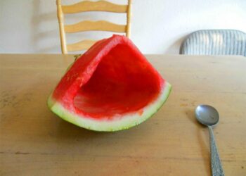 21 kép, amely bebizonyítja, hogy a testvérek mindig hatalmas seggfejek