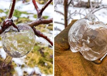 20 különleges pillanat, amiről sosem gondoltuk volna, hogy sikerül kamerára rögzíteni