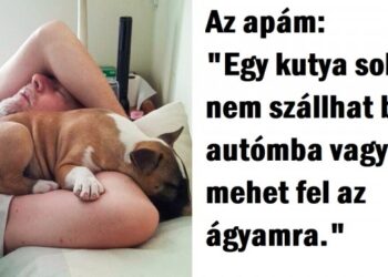 19 személy, akik nem akartak háziállatot tartani, de most nem tudnak nélkülük élni