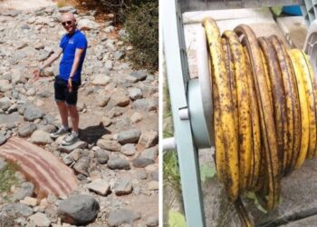 20 dolog, mely megszólalásig hasonlít egy ételre, de mégsem a legjobb ötlet megkóstolni