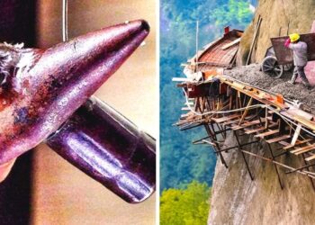 18 felvétel, mely bebizonyítja, hogy a világ még mindig képes meglepetéseket okozni