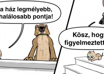 Egy amerikai művész képregényeket rajzol egy aranyos kiscica és egy harcias juhászkutya barátságáról