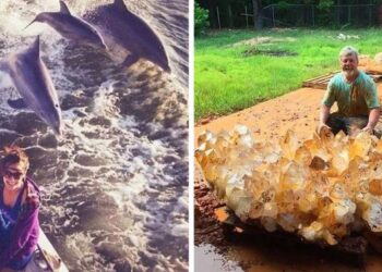 20 alkalom, mikor a szerencse tényleg az emberekre mosolygott