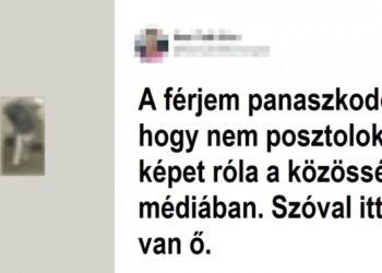 20+ röhejes fotó, melyek bizonyítják, hogy a nemek közötti háború létezik