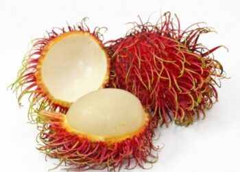 10 egzotikus gyümölcs, amelyet feltétlenül meg kell kóstolnod