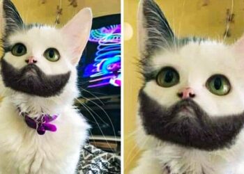 20 állat, akik megnyerték a jackpotot a genetikában