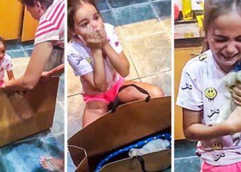 20 kép, mely bebizonyítja, hogy egy kiskutya nagyobb ajándék a gyermeknek, mint a legújabb iPhone telefon