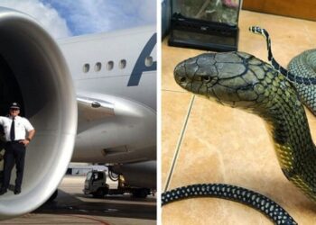 17 alkalom, mikor kiderült, hogy a dolgok sokkal nagyobbak, mint gondoltuk