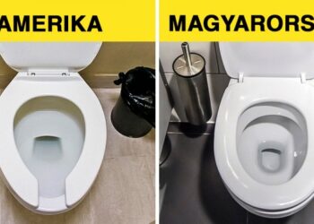 16 furcsa dolog a világ otthonaiból, melyek mögött váratlan magyarázat rejlik