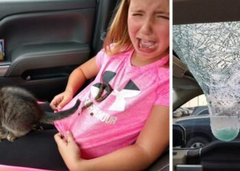 18 személy, akinek biztosan rosszabb napja volt, mint neked