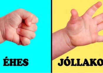 5 szimpla szabály orvosoktól, hogy egészséges gyermeket nevelj