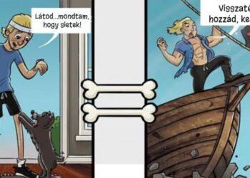 7 illusztráció, mely bemutatja, hogyan látják a világot a kutyák