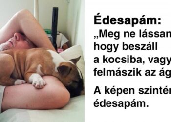 19 alak, aki igazán nem akart háziállatot, ma pedig már nem tud nélküle élni