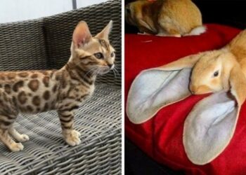 15 alkalom, mikor a természet pontosan tudta, hogyan nyűgözzön le minket