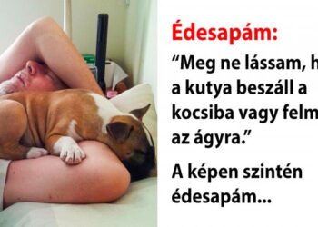 20 alak, aki egyáltalán nem akart háziállatot, ma már viszont nem tud nélküle élni!