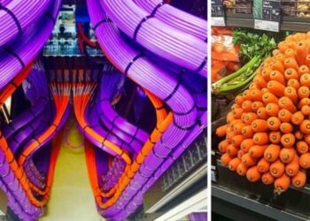 21 furcsán megnyugtató felvétel, melytől Zen módba kapcsolsz