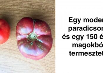 21 látványos összehasonlítás, amely segít, hogy jobban megértsük a minket körülvevő világot