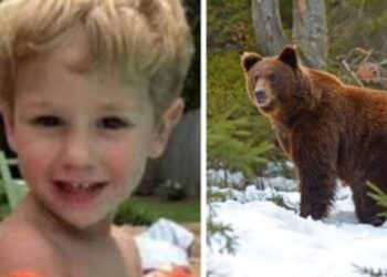A 3 éves fiú, aki két dermesztő éjszakát élt túl az erdőben, azt mondja, hogy egy barátságos medve tartotta őt biztonságban