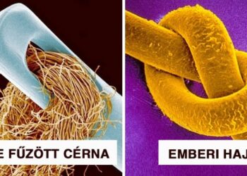 20 hétköznapi dolog, amely mikroszkóp alatt nézve olyan, mintha egy másik univerzumból származna