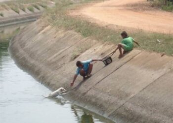 20 inspiráló bizonyíték mely bemutatja, hogy együtt tényleg minden könnyebb
