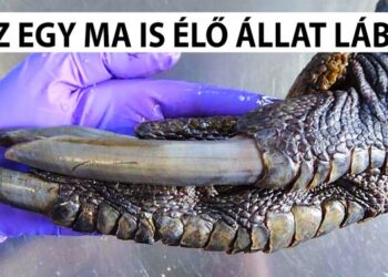 20 hihetetlennek tűnő természeti jelenség, amelyre most már létezik logikus magyarázat