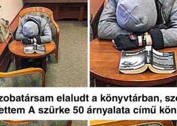 21 kép, mely bebizonyítja, hogy senkiben sem lehet megbízni