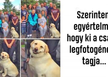 20 übervidám állatos felvétel, mely után nem lesz kedved szomorkodni