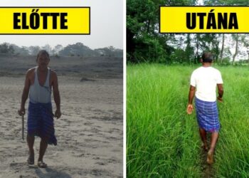 Egy férfi 40 évet töltött azzal, hogy egy sivatagot óriási erdővé változtasson, és ez bebizonyítja, hogy még mindig van reménye a bolygónknak