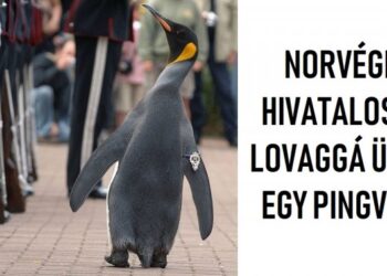 22 felemelő tény, melytől repesni fogsz az örömtől