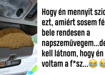 20 fénykép, amely alátámasztja, hogy az emberi butaság határtalan, de legalább humoros