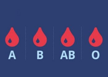 8 fontos tény, amelyet tudnod kell a vércsoportodról