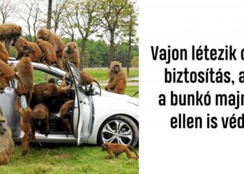 17 abszurd autóbaleset, mely némi fejtörést fog okozni a betétlap kitöltésénél