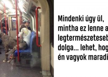 19 állat, aki elfelejtette, hogy ő igazából egy állat